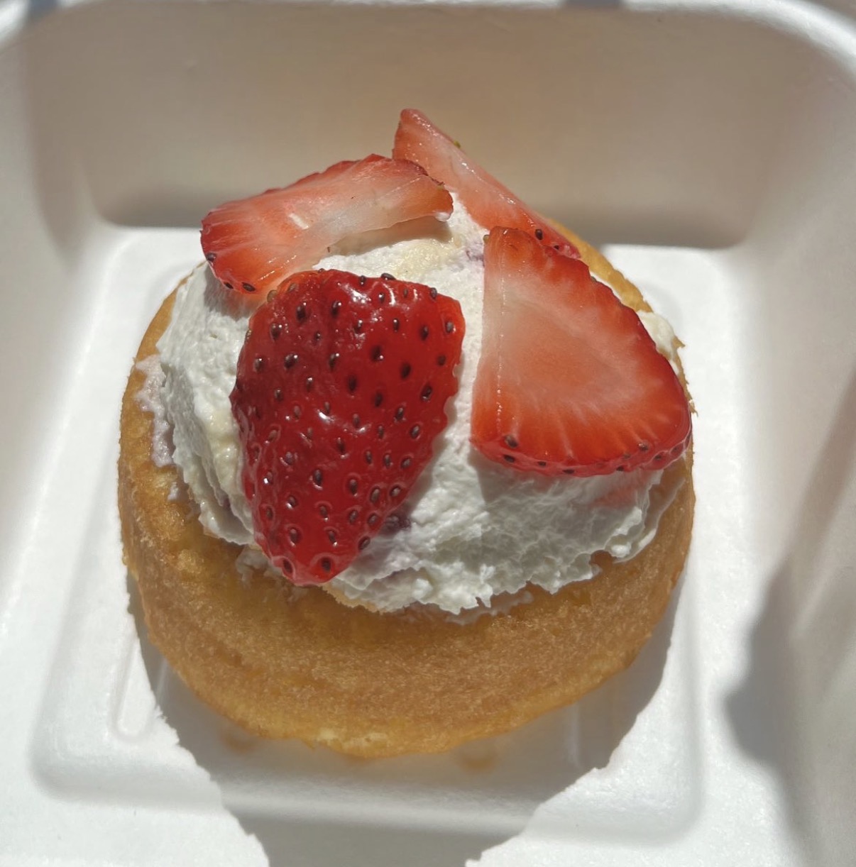 Strawberry Shortcake - real photo